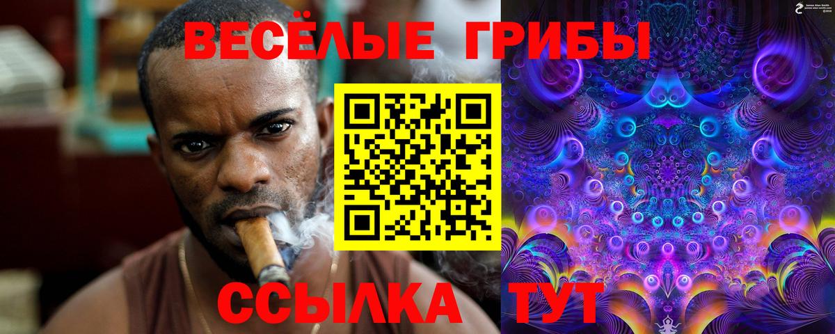 Псилоцибиновые грибы GOLDEN TEACHER Гусиноозёрск