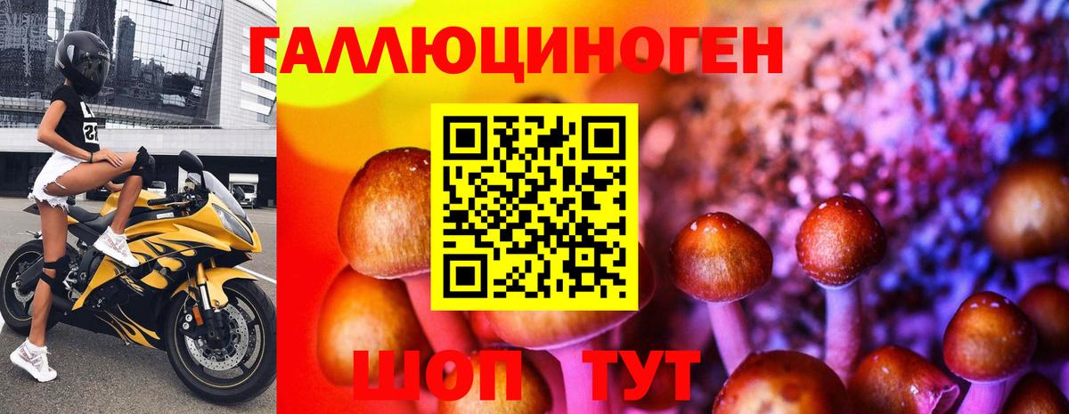 Галлюциногенные грибы ЛСД  Вход с VPN  купить   Гусиноозёрск 