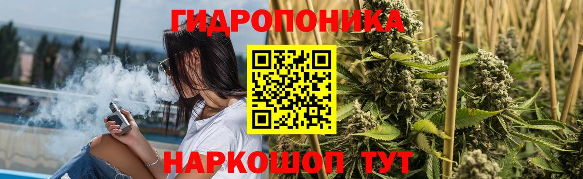 Шишки марихуана OG Kush  Гусиноозёрск  Шишки марихуана MAZAR  Бошки Шишки гибрид 