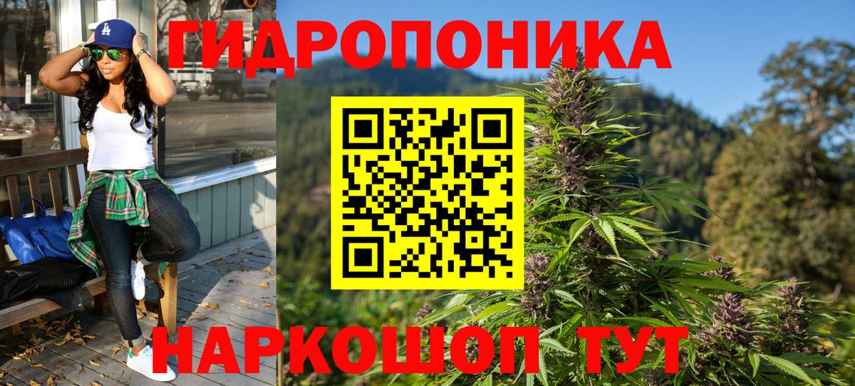 Конопля AK-47  Вход с VPN  Каннабис Amnesia  Гусиноозёрск 
